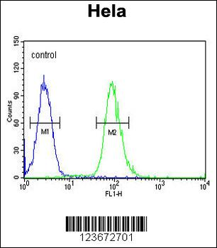 CLDN7 Antibody (C-term)