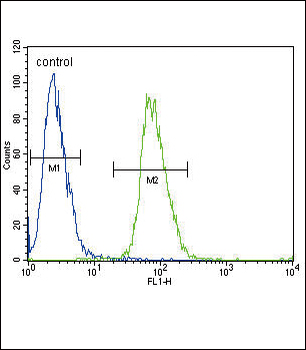 ADH4 Antibody (C-term)