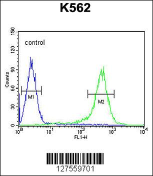 TMEM132D Antibody (C-term)