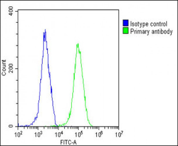 Bax Antibody (BH3 Domain Specific)