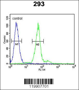 TPSAB1 Antibody (Center)