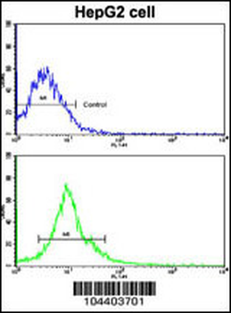 AMFR Antibody (C-term)
