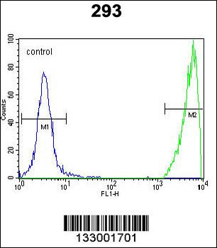 GNAS Antibody (C-term)
