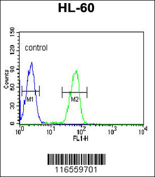 DPPA2 Antibody (N-term)