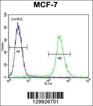 LKAAEAR1 Antibody (C-term)