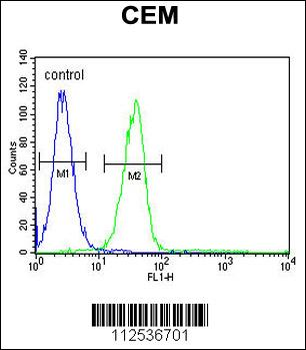 MGP Antibody (Center)