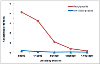 Histone H3 (MonoMethyl-K122) Antibody
