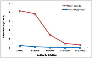 Histone H3 (TriMethyl-K26) Antibody