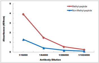 Histone H3 (MonoMethyl-K9) Antibody