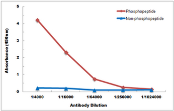 DAXX (pS668) Antibody