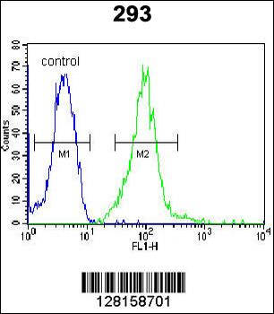 I2BP2 Antibody (Center)