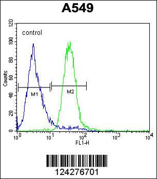 C5AR1 Antibody (Center)