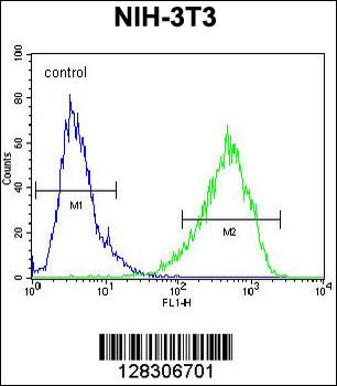 HOMEZ Antibody (N-term)