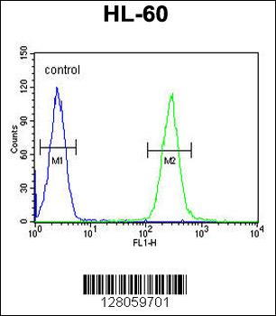TCL6 Antibody (C-term)