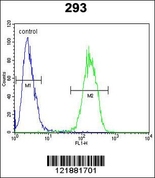 IL17F Antibody (N-term)