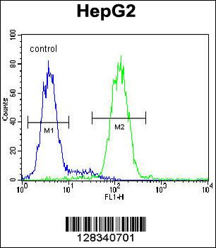 CCDC17 Antibody (C-term)