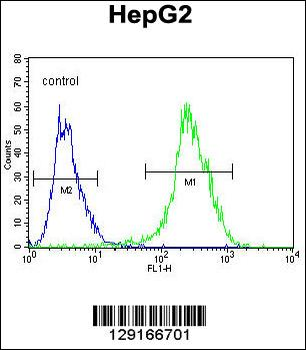 NR0B2 Antibody (Center)