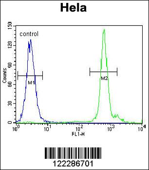 EMG1 Antibody (Center)