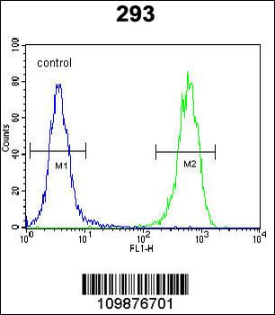 PTK9L Antibody (N-term)