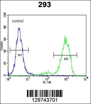SPDYE5 Antibody (N-term)