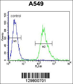 PRR19 Antibody (Center)