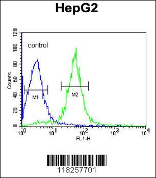 AIFM2 Antibody (C-term)