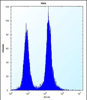 DEFB112 Antibody (N-term)