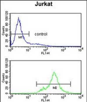 SPRED1 Antibody