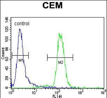 DISC1 Antibody (C-term)