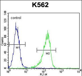 Metabotropic Glutamate Receptor 6 (GPRC1F) Antibody (C-term)