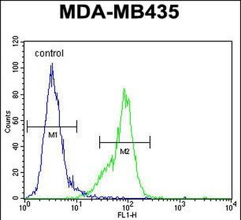 MeCP2 Antibody (C-term)