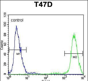 PIGM Antibody (C-term)