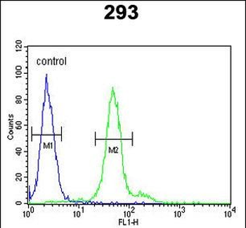 DDX23 Antibody (Center)