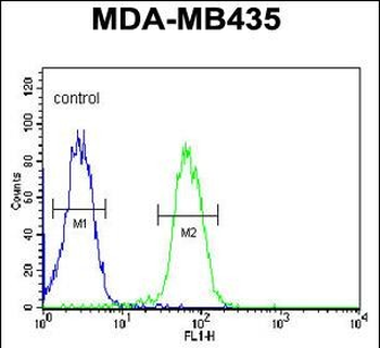 ASM3A Antibody (C-term)