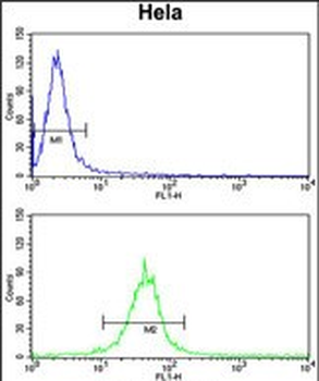 F91A1 Antibody (N-term)