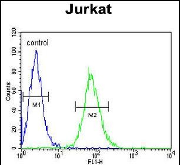 GGNBP2 Antibody (C-term)