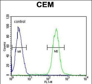 ATP6V0A4 Antibody (Center)