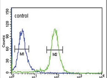 GP6 Antibody (C-term)