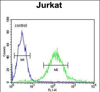 GPRASP1 Antibody (C-term)