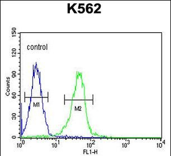 KCNJ6 Antibody (Center)