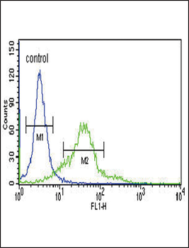 Sestrin-2 Antibody (Center)