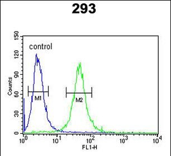 GATA2 Antibody (Center)
