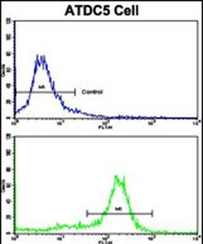 MSRB2 Antibody (Center)