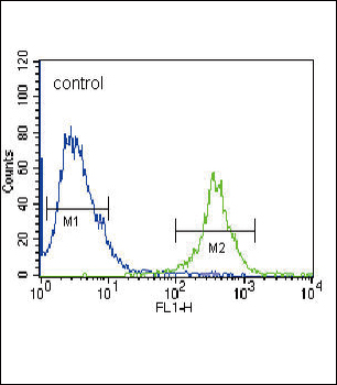 FRK Antibody (N-term)
