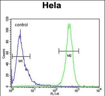 Beclin1-BH3 Domain Antibody