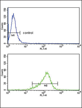 IL12A Antibody (C-term)