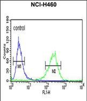 PISD Antibody (Center)