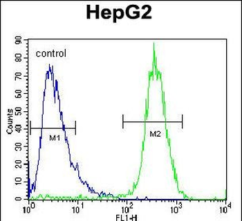 TYROBP Antibody (C-term)
