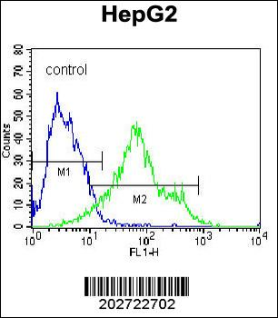 CD138 Antibody (C-term) (Ascites)