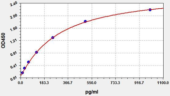 Gallus CCK ELISA Kit